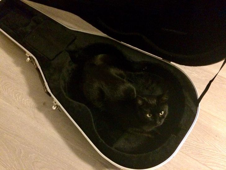 d3504d58cca4f8bf3cd8c1a816