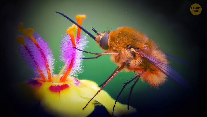 d357575717b48980b543beda95