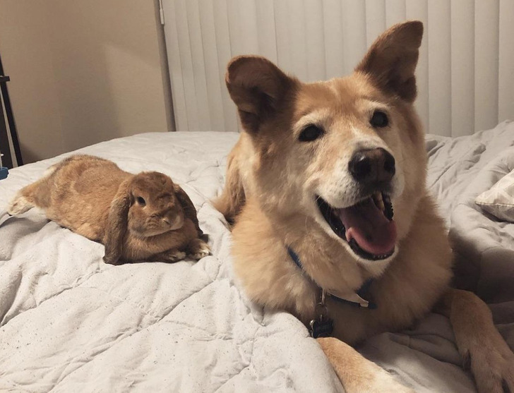 d3596652c39e33811d78d4e890