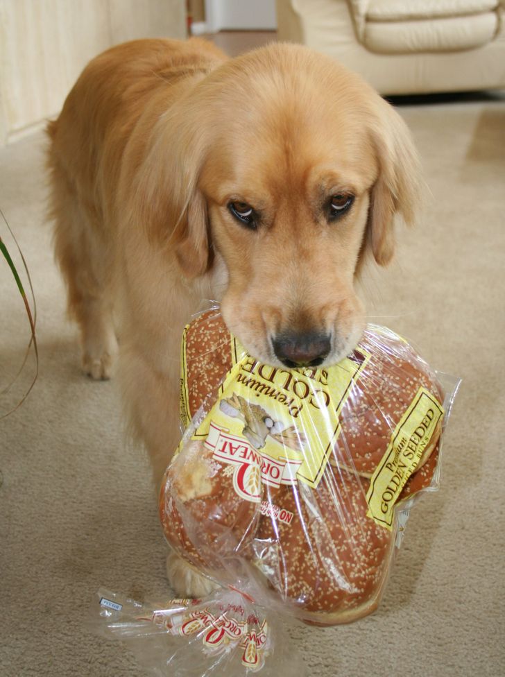 d35a1c5884b9470f8d92e05bed