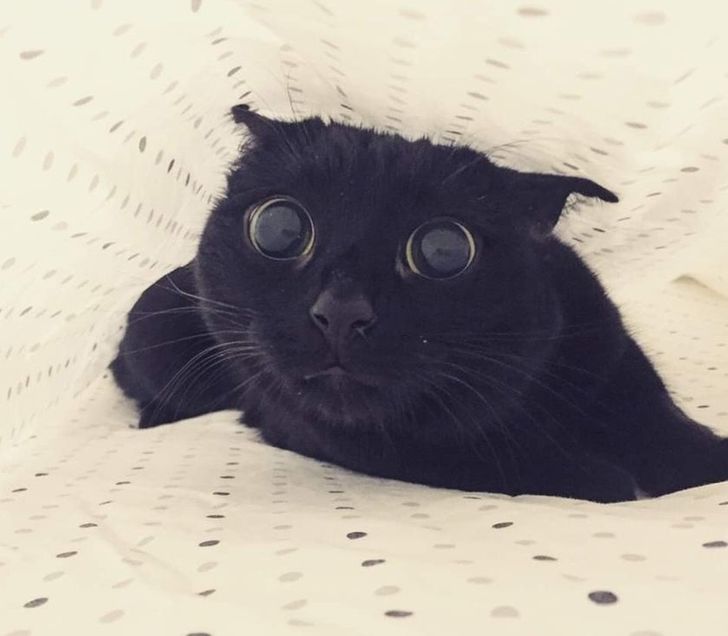 d35d1a5ee395322b4837f753cc