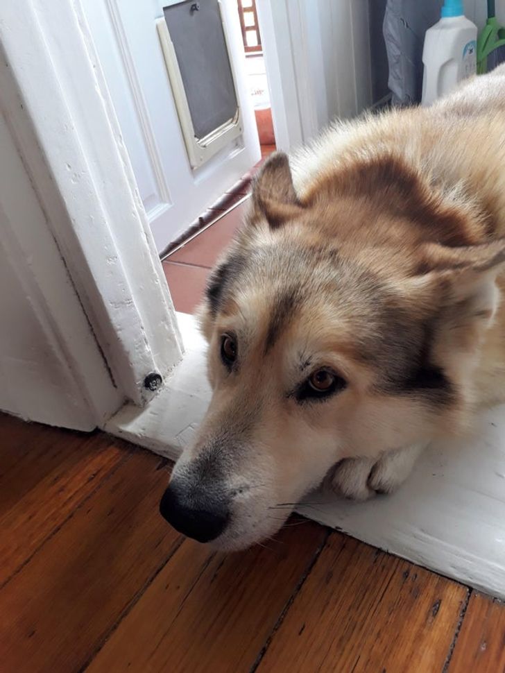 d35fd95d53be72859f3e20d6c7