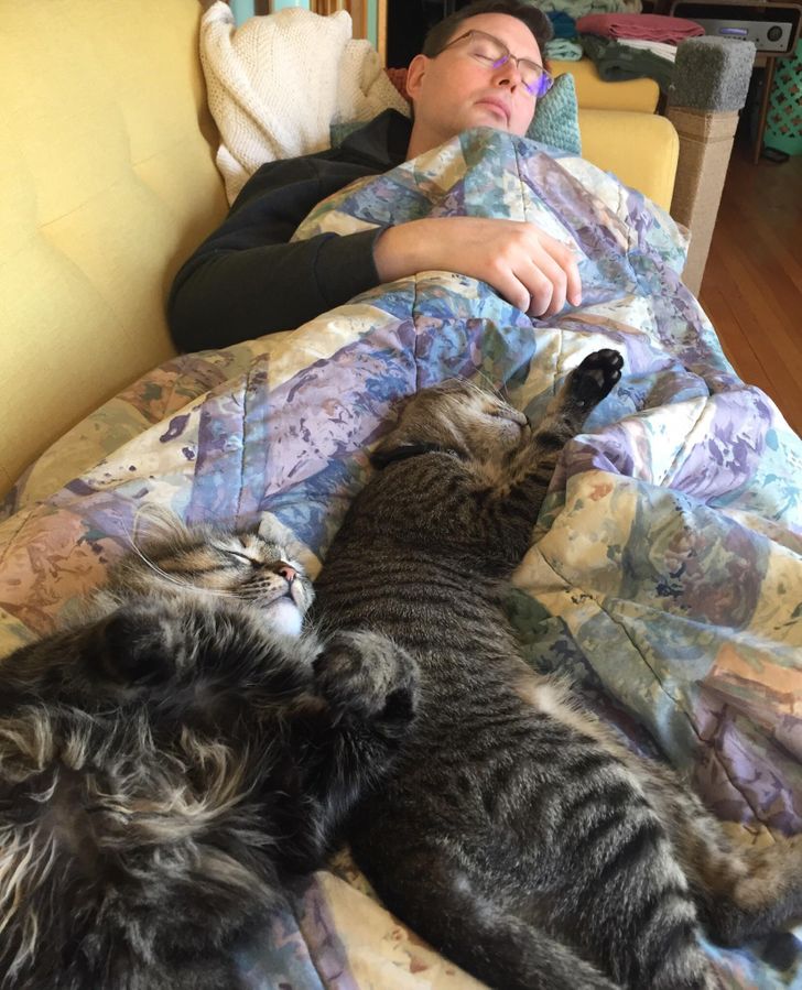 d362f15072bc38a4b785f549af