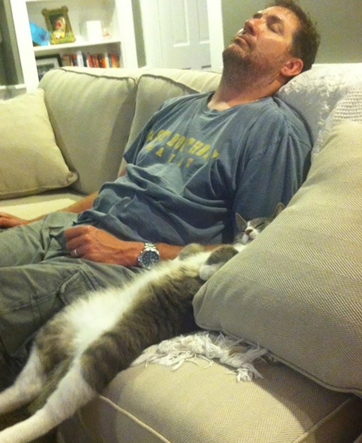 d36eca54c399ec8e48d1a65843