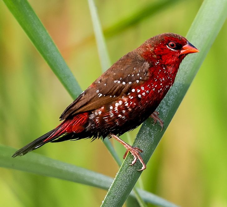 d3772d5d4fa59708b1a3590a70