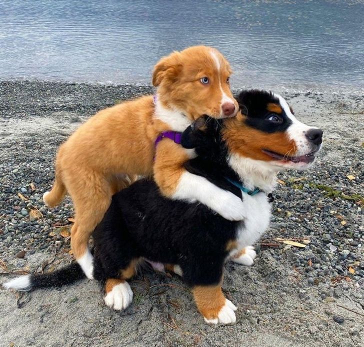 d37efc59c1a2b73a344d4bb4d3