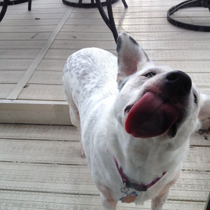 d38d4b5dddb7f0a7a9ad57178c