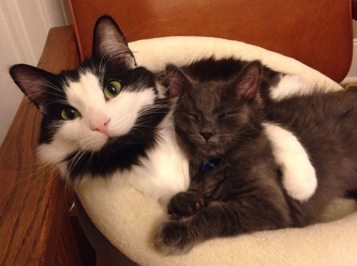 d38d7255c8881fb481544d3407