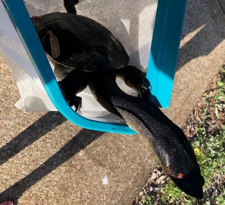 d39ec65dd5b617302a1fcf2918