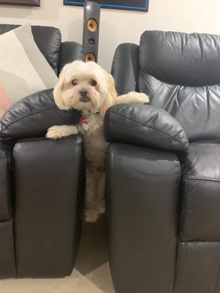 d39f2b59438eb9e297200a66cc