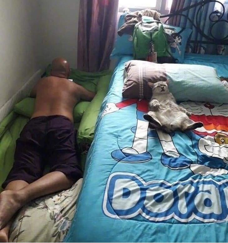 d3aa75517391d42c32d86c6021