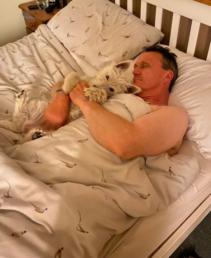 d3bad652dd9e8565ce8c370aca