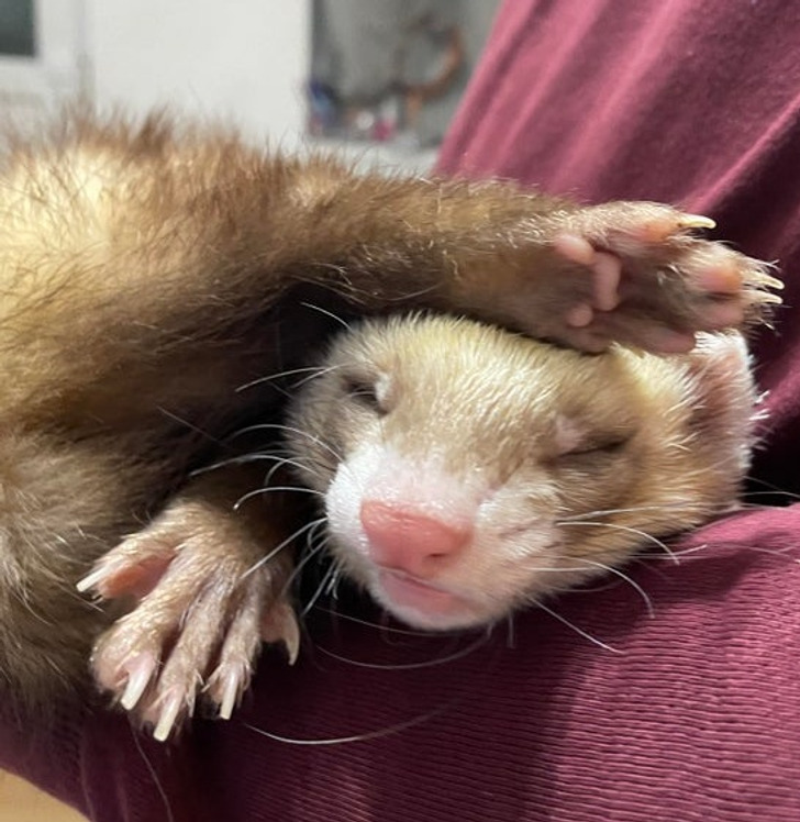 d3bfb6554a8e2949f880f06505