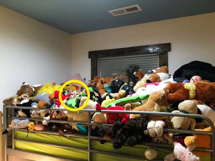 d3ca9e5cafbb3d17104f942d0f