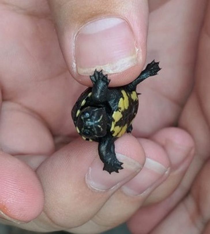 d3caaf516ab9eed4486437392f