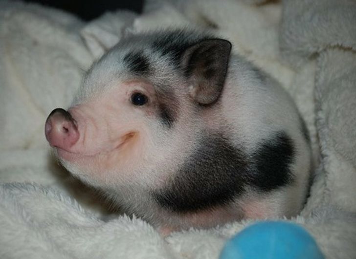 d3cbe1590891c28384bae98d38