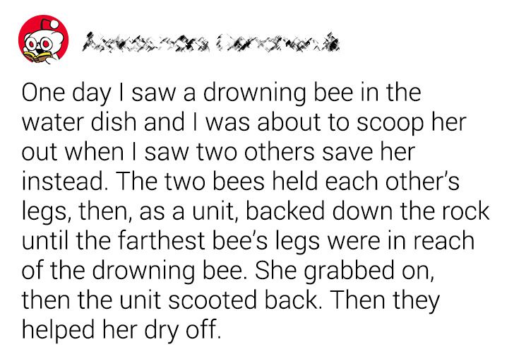 d3cdb856359c1d66d58188b8fb