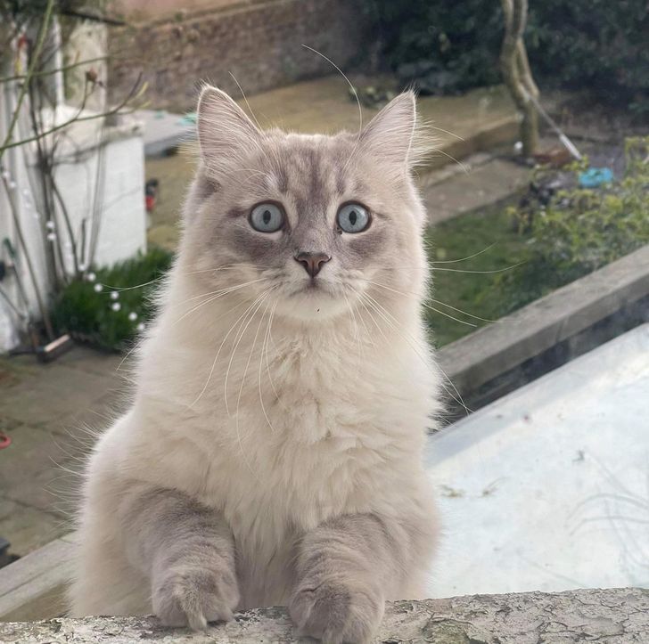 d3cde25482b6a6bb357bea5008