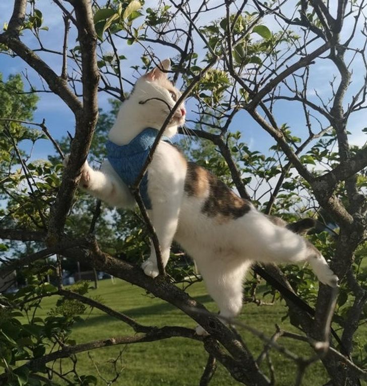 d3cffd59e68ef98f021c2c2a0c