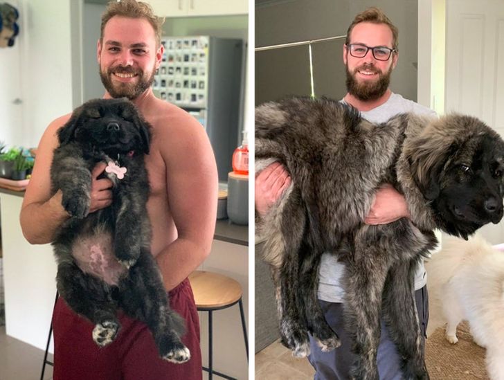 d3d496527c9774194b2e4539cc