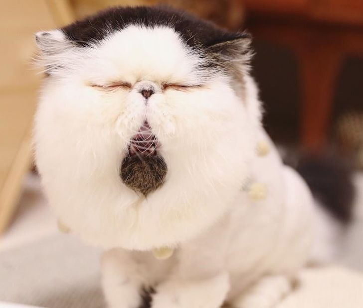 d3d6e45a61894c347414dbf644