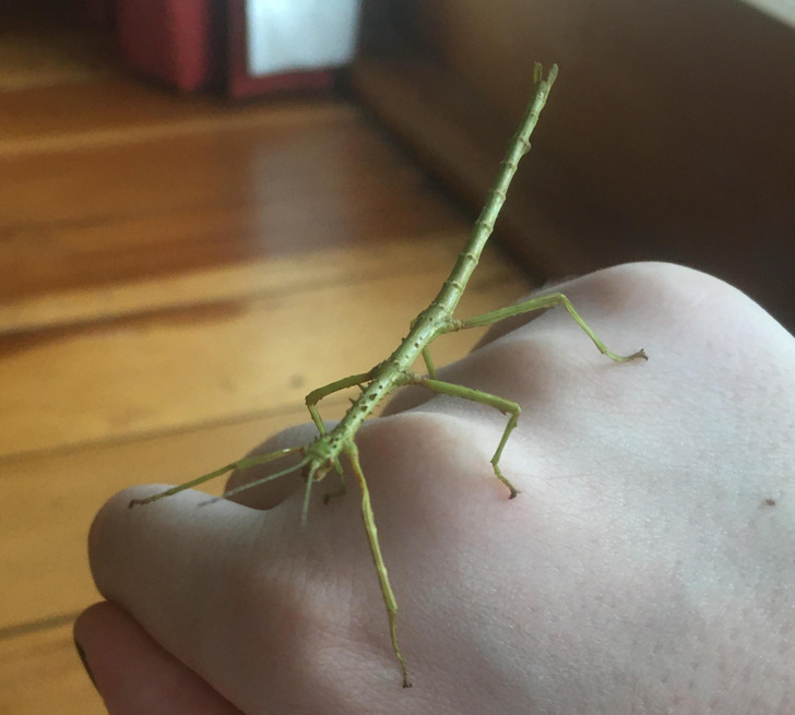 d3d7f85638b0e27da28f7a1601