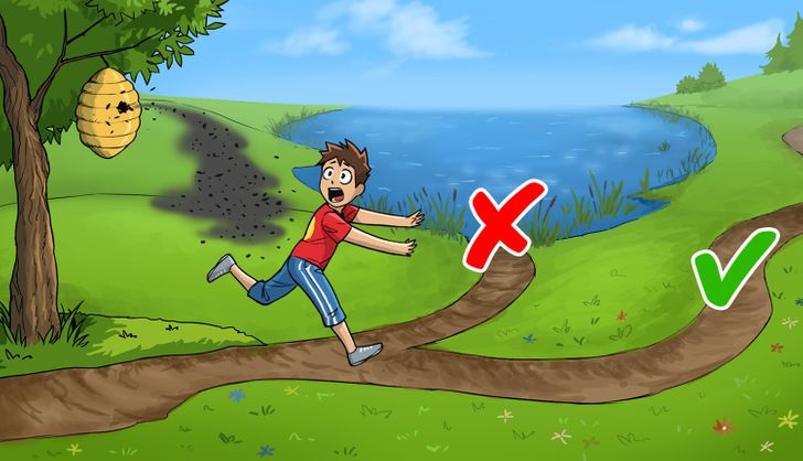 d3d85a5d43abf970388e4fac71