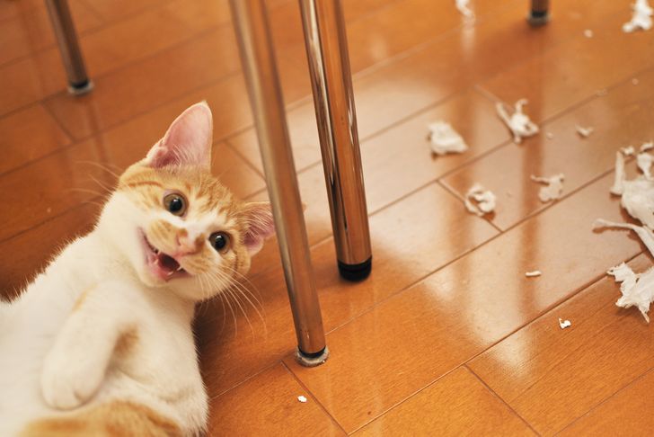 d3df395fd68f70b7309c541568