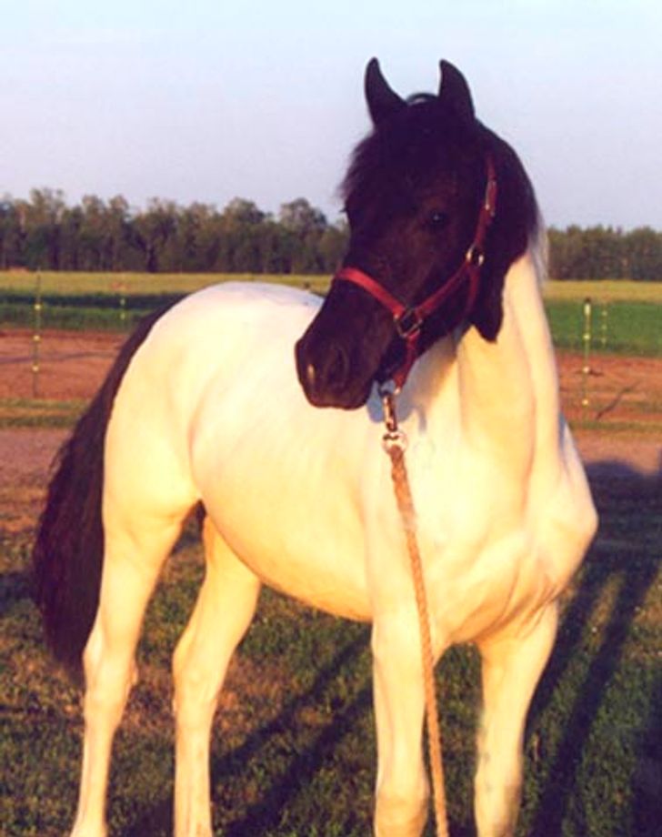 d3e2c75d028858c2c7864b2c01