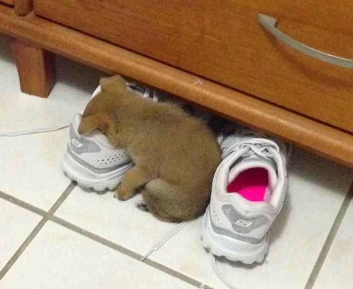 d3e6075835bcefef73c95852be