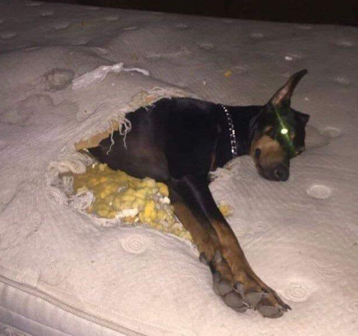 d3ee885123b8306db5ca44e708