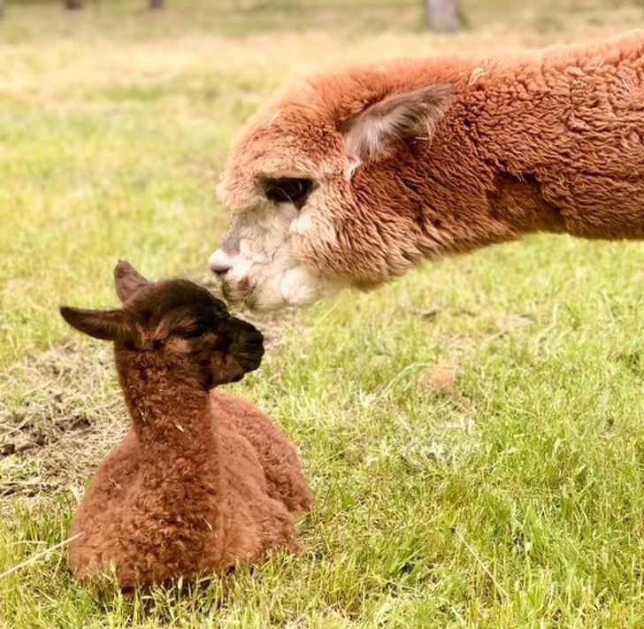 d3f2c35d2694e4425d53dff08c