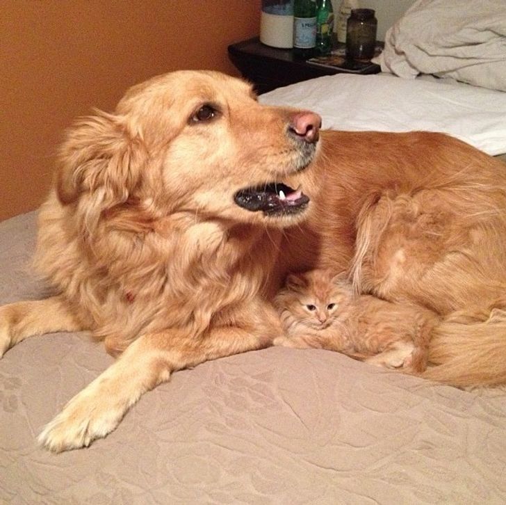 d3f44a5392a72626be60806ff1