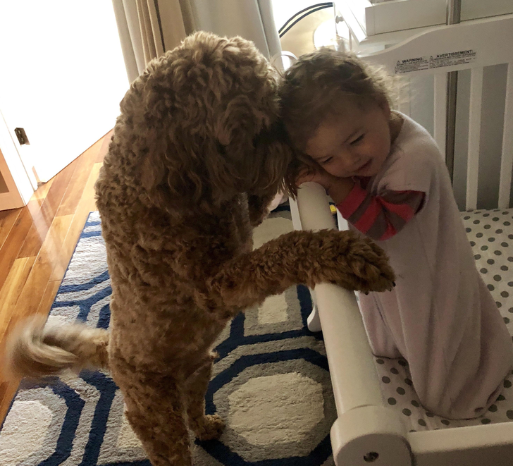 d3f4995fcb909e91fb1417f961