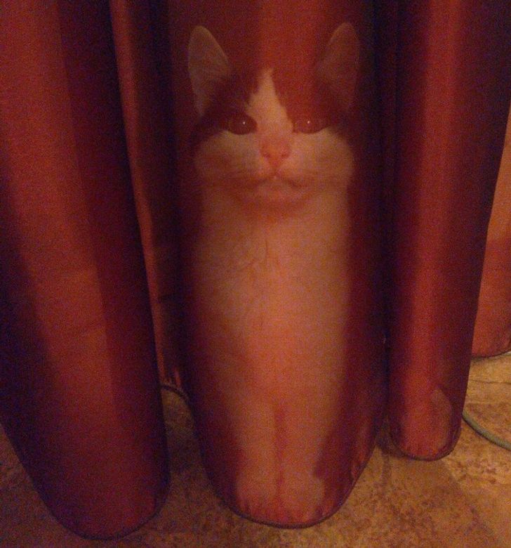 d3f5a154618ed6e22c1f8db8f1