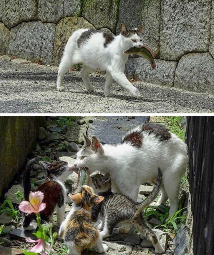 d3f71c59ed806836c00e36f924