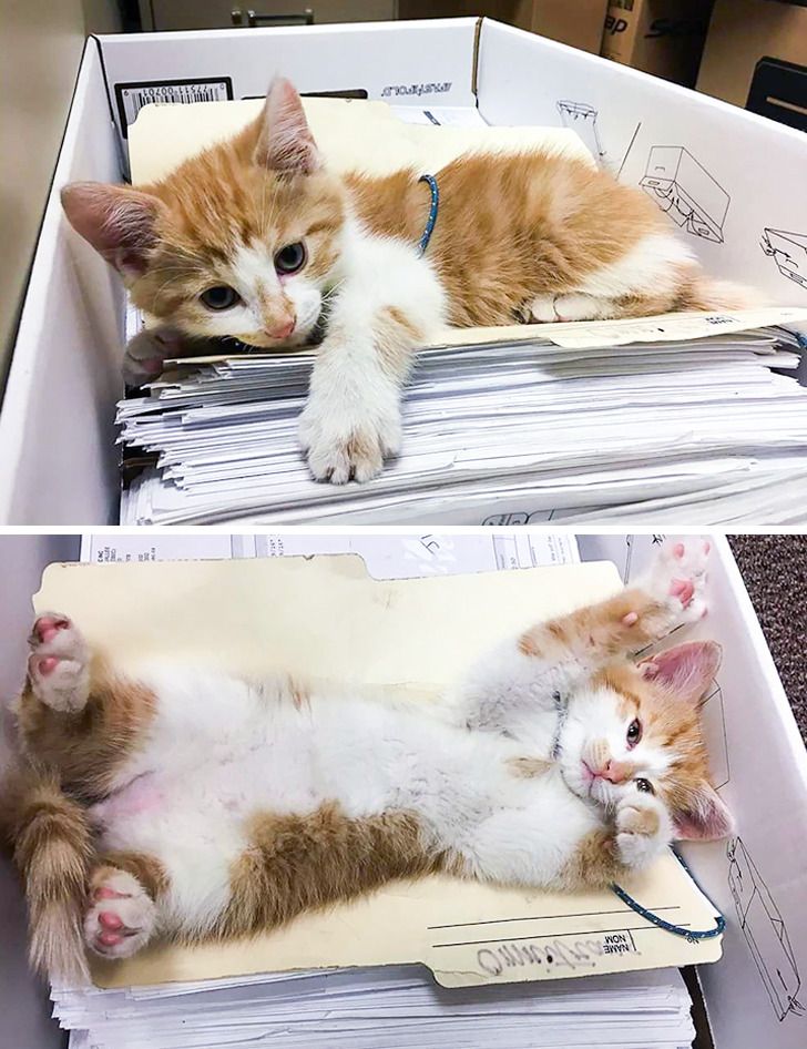 d4149c5c2e9033d85a92ee9869