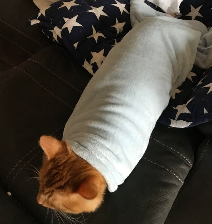 d415ba50a0b4508333af242eef