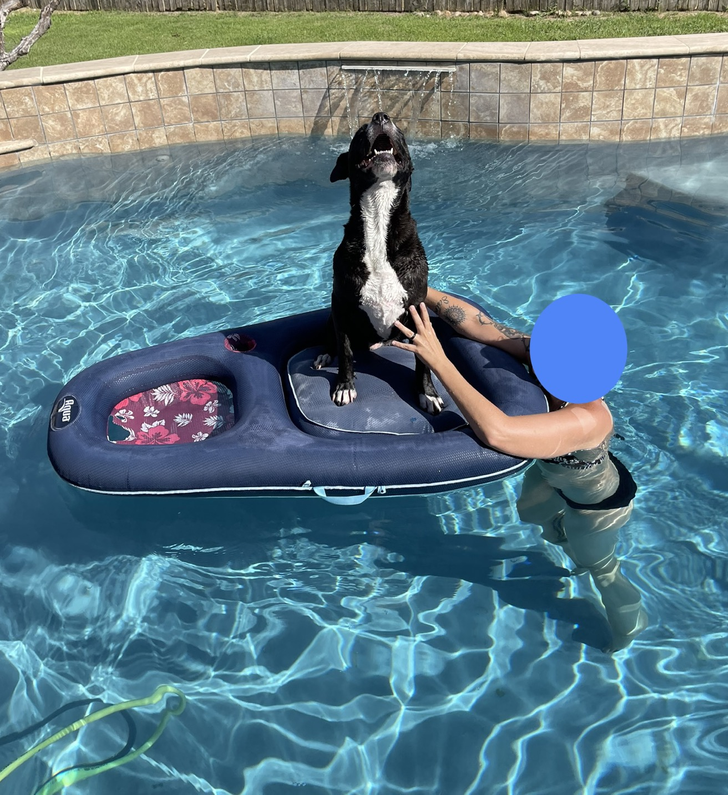 d4170357529216904f03c656cb