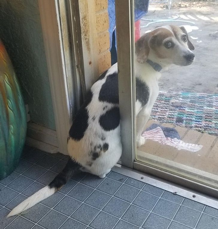 d417b852b88e9050221c425bef