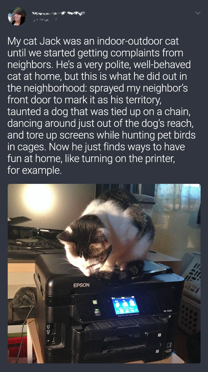 d4188b550c95c7e1deb122a4d4