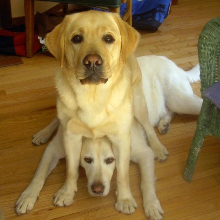 d419c5503cbfcd4e4f23338778