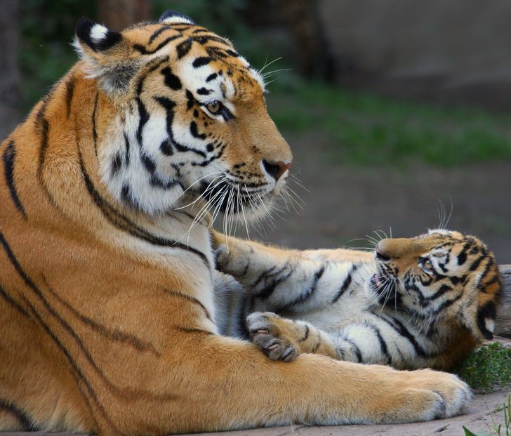 d41c2f55528c25d2b4a74b06e4