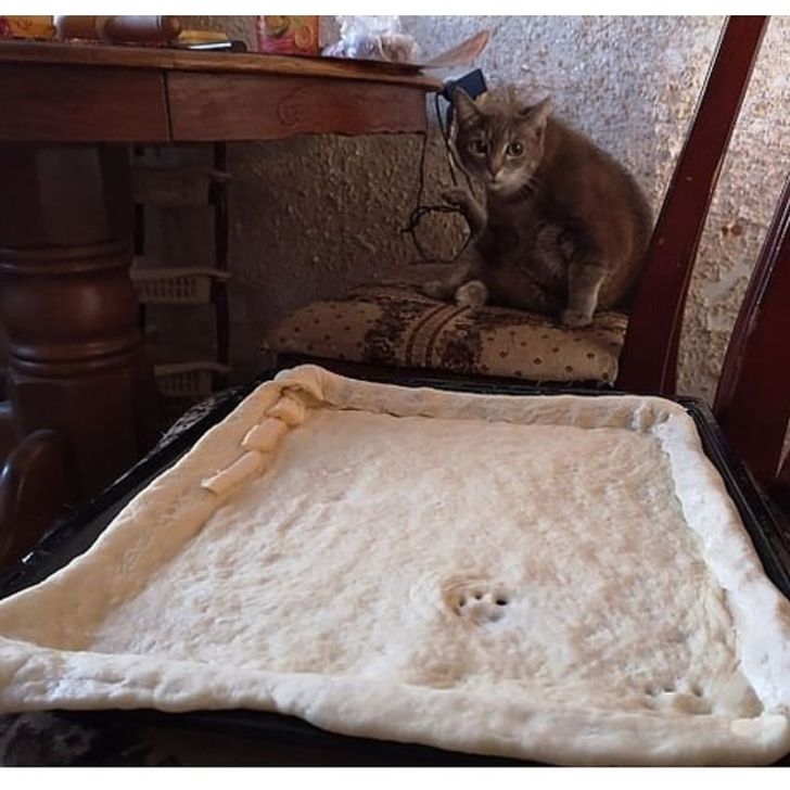 d424e154b1858f8f2a9c53a082