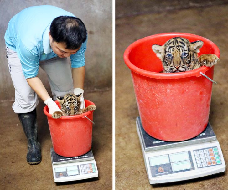 d427955d73b91c39b42846cb1c