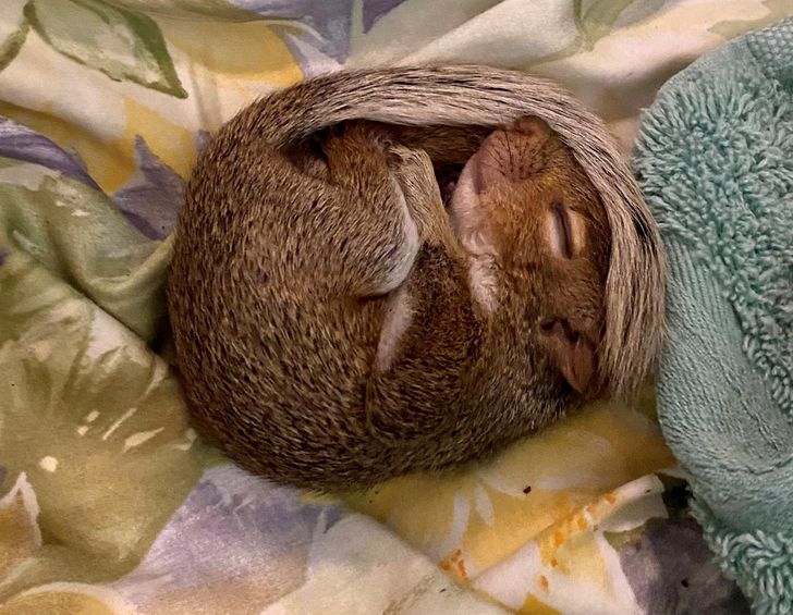 d428f35e86b6159123c0c39408