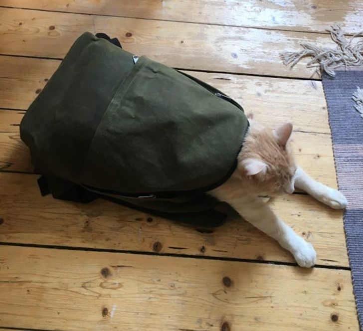 d42a0a553996f5b025f9b9bd4e