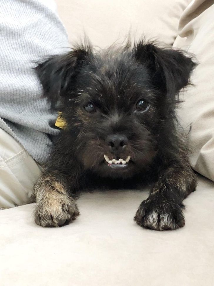 d430255ac1963767ee720c3369