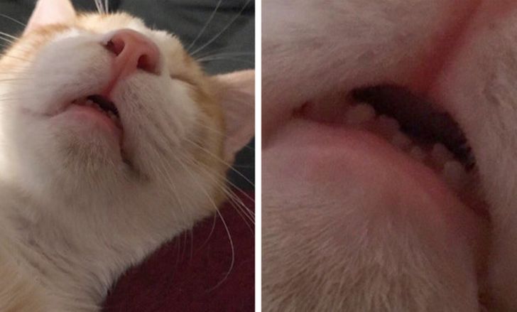 d439645c9eb4fff37349006311