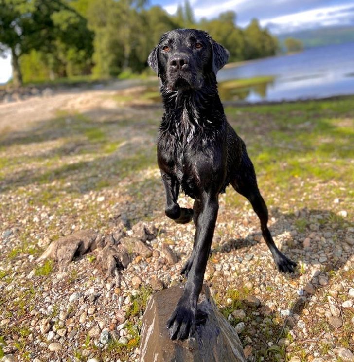 d43c4257d183e5f4e7e5514c53